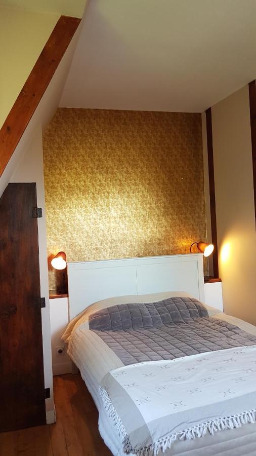 Le Chateau Des Arenes Gieres Luaran gambar